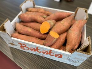 Batata raccolta tuberi
